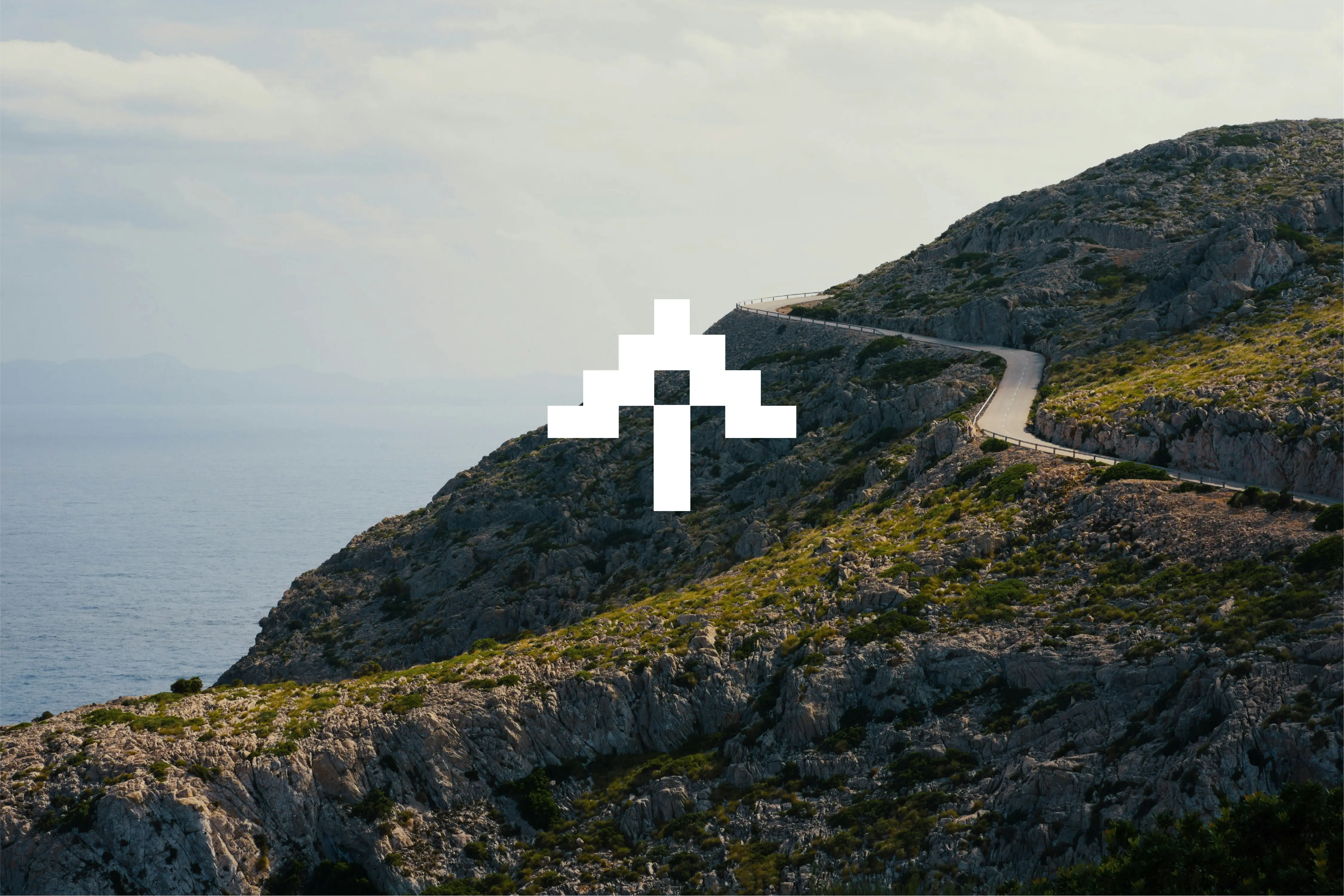 Next Level Projects Cover: Branding und Markenauftritt